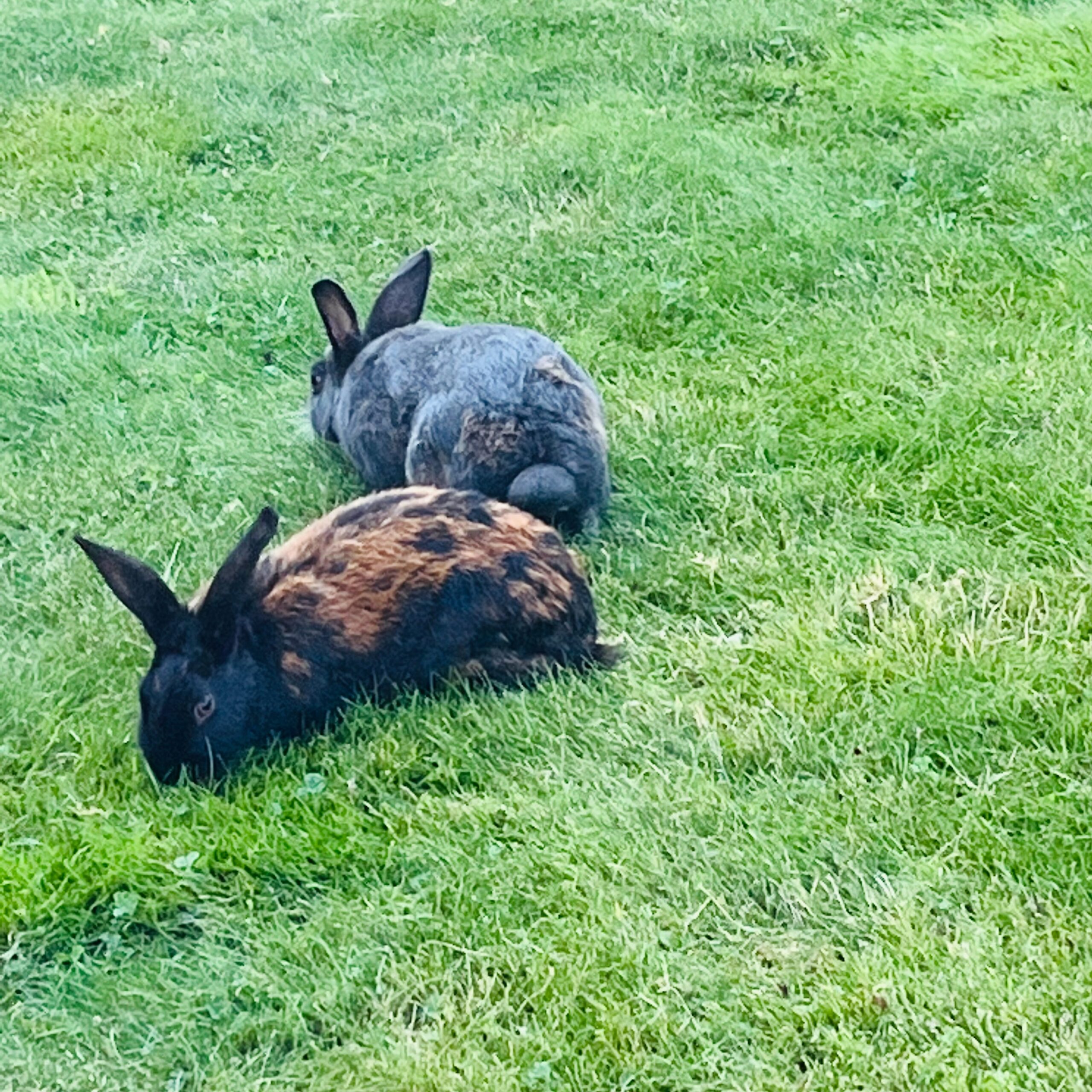 留学レポート第1弾! – SeiJo English